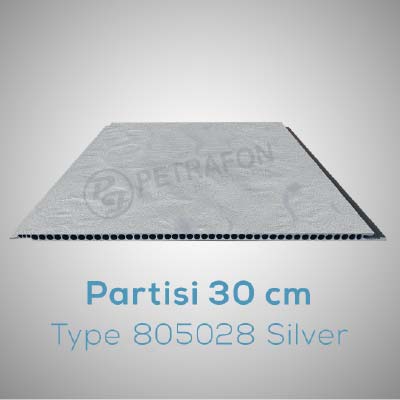 805028 SILVER
