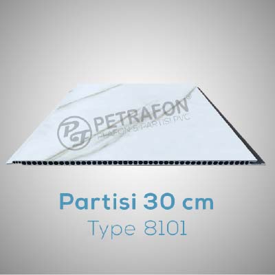 8101