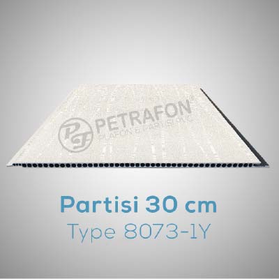Partisi 8073-1Y