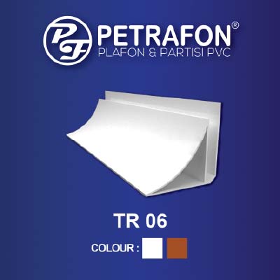TR 06