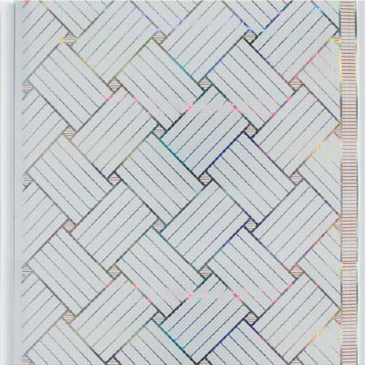 TR 2284 Hologram Strip