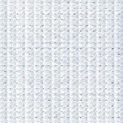 TR 6001 White